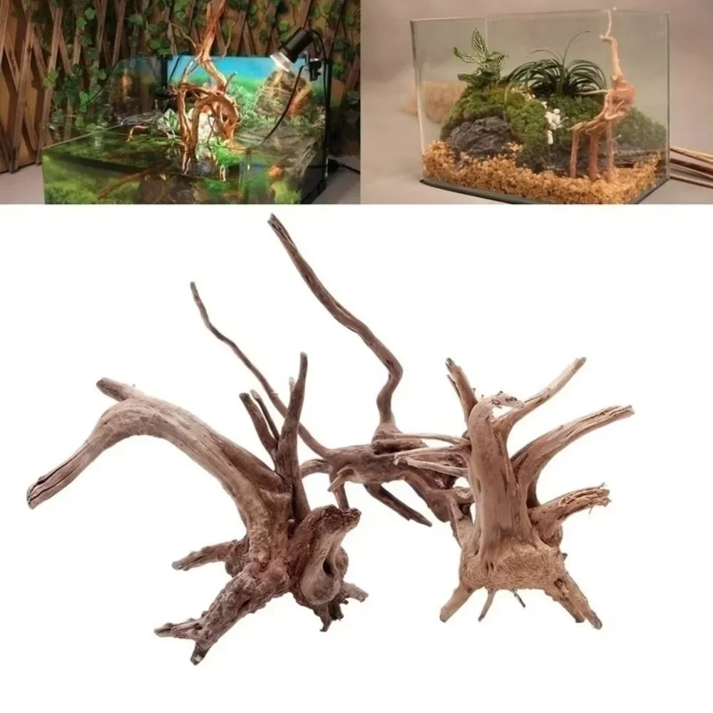 Aquarium Marine Tank - 15-20CM 천연 유목 수족관 장식 -