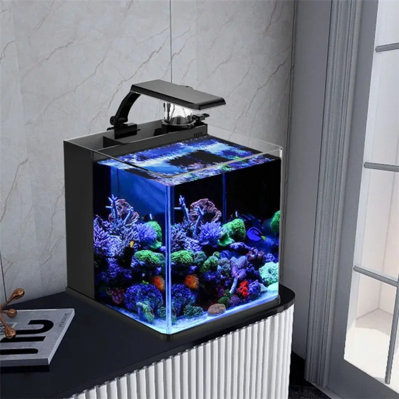 Aquarium Marine Fish For Sale - 초특가 초투명 유리 미니 해수 어항
