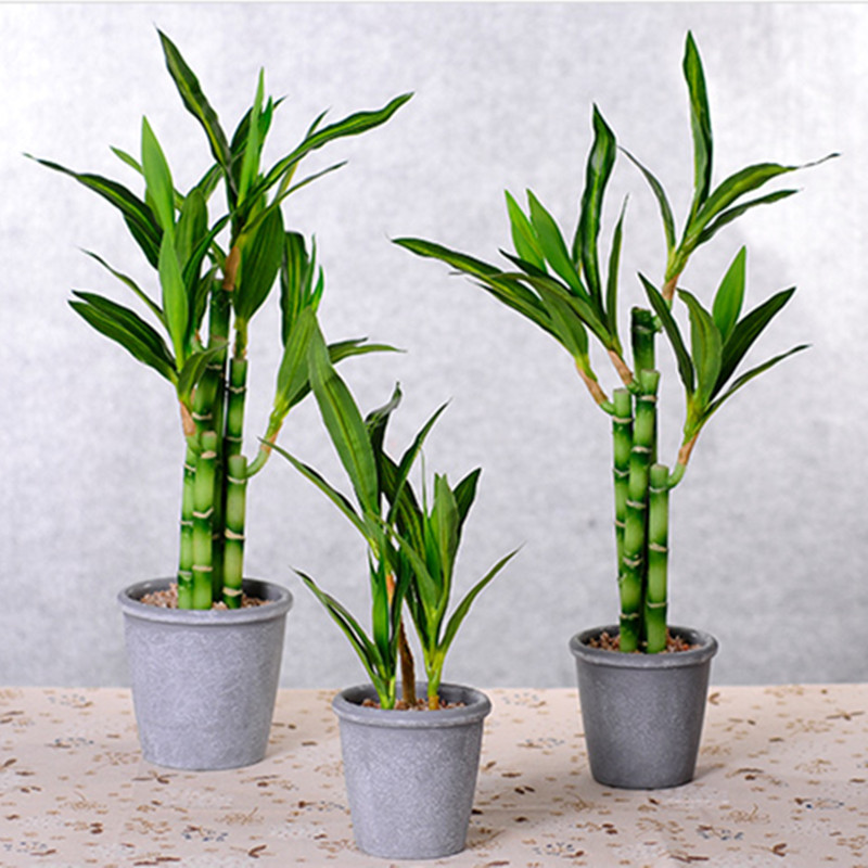 새로운 40cm 인조 행운나무 다육식물 가짜 꽃 녹색  - Aquarium Marine Plants 리뷰 및 가격