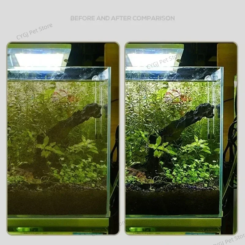 수조 청소 도구 평면 모래 조류 제거 이중 용도 유리  - Marine Aquarium Glass Cleaner 리뷰 및 가격