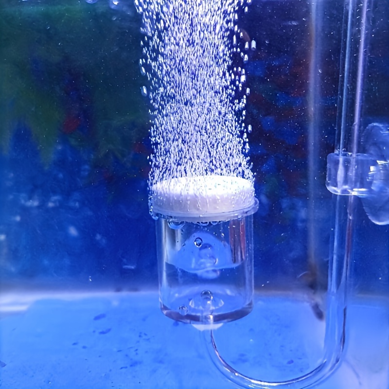 수족관 유리 CO2 무화기 디퓨저 버블 카운터, 수족관 - Aquarium Marine Plants 리뷰 및 가격