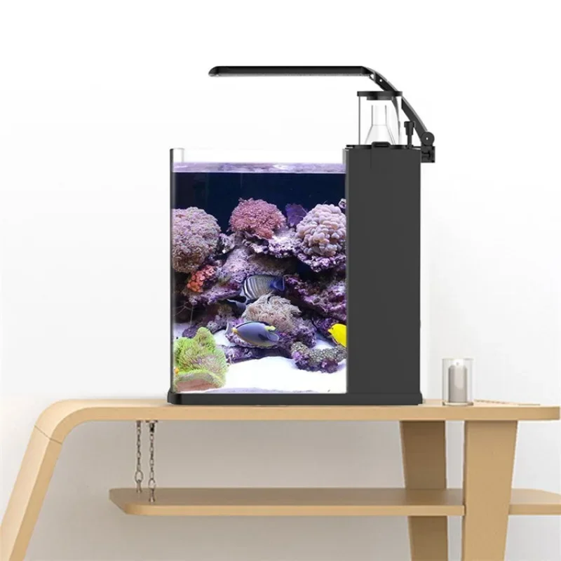 초특가 초투명 유리 미니 해수 어항 (해양용) - Aquarium Marine Fish For Sale 리뷰 및 가격