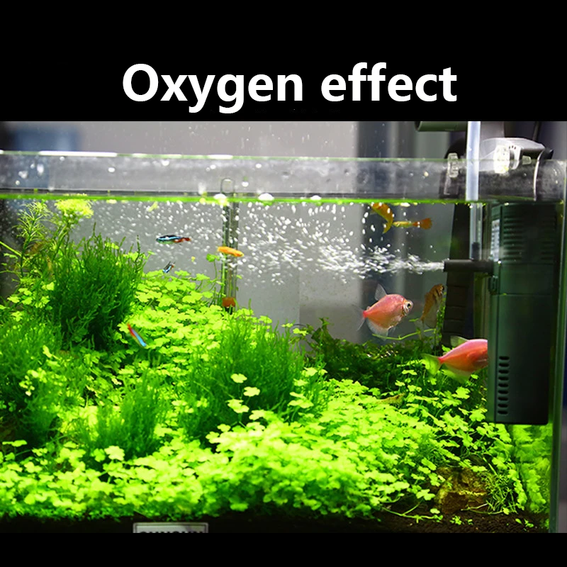 SUNSUN 미니 나노 수중 산소 펌프, 물고기 거북이 - Marine Aquarium Design 리뷰 및 가격