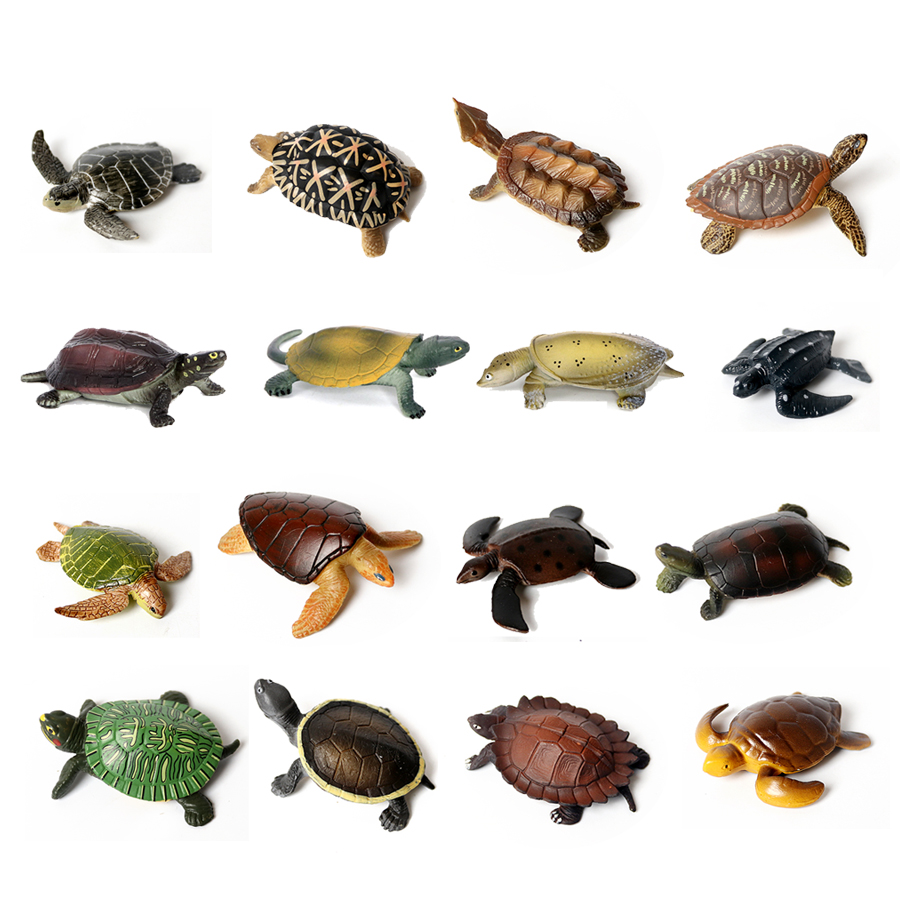 현실적인 미니어처 해양 생물 바다 거북이 모델, 해양  - Marine Aquarium & Regional Centre 리뷰 및 가격