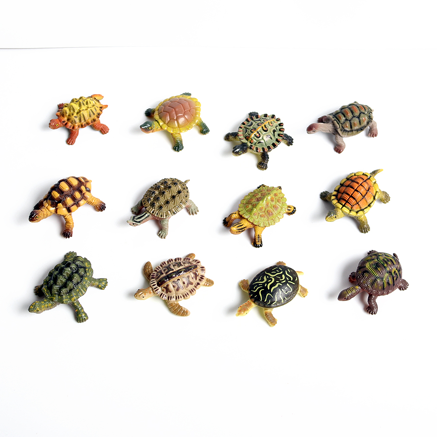 현실적인 미니어처 해양 생물 바다 거북이 모델, 해양  - Marine Aquarium & Regional Centre 리뷰 및 가격